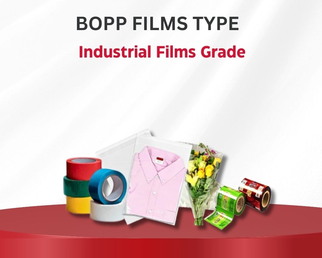 WhatsApp Image 2025-08-01 at 11.17.17_8c9f2714