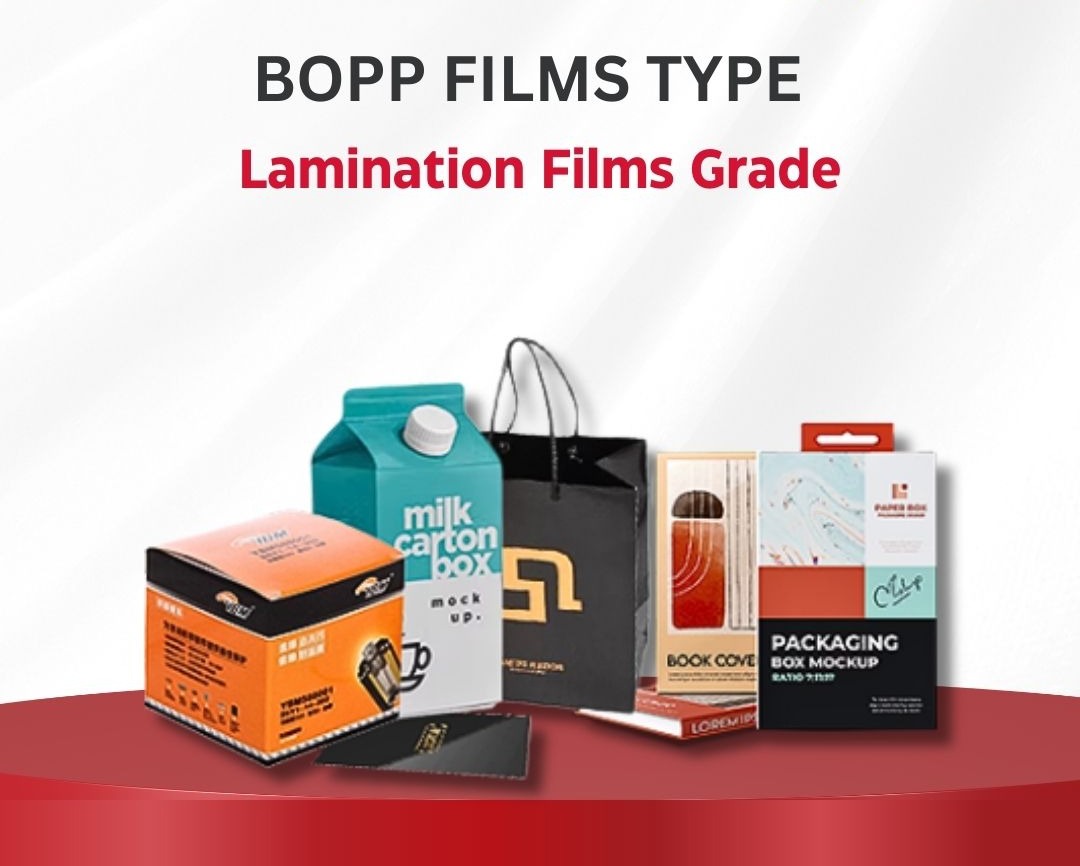 WhatsApp Image 2025-08-01 at 11.17.48_b35ccc13